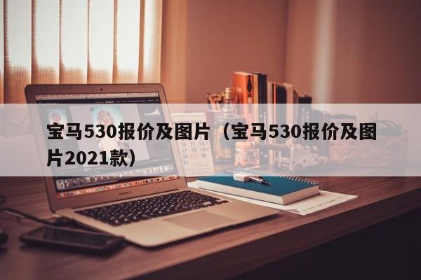 宝马530报价及图片（宝马530报价及图片2021款）