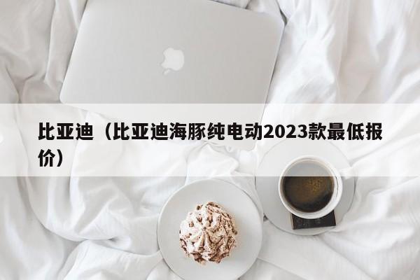 比亚迪（比亚迪海豚纯电动2023款最低报价）