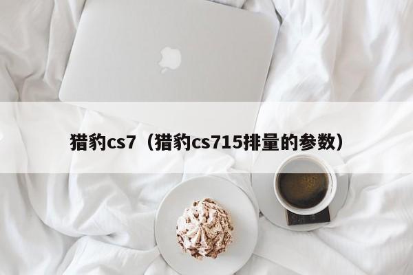 猎豹cs7（猎豹cs715排量的参数）