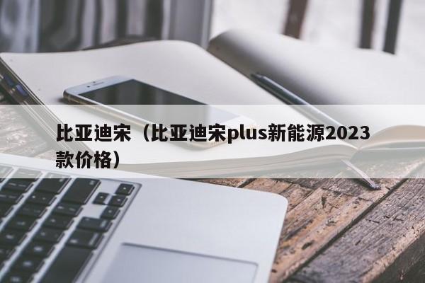 比亚迪宋（比亚迪宋plus新能源2023款价格）