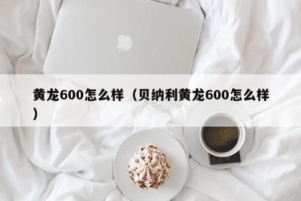 黄龙600怎么样（贝纳利黄龙600怎么样）