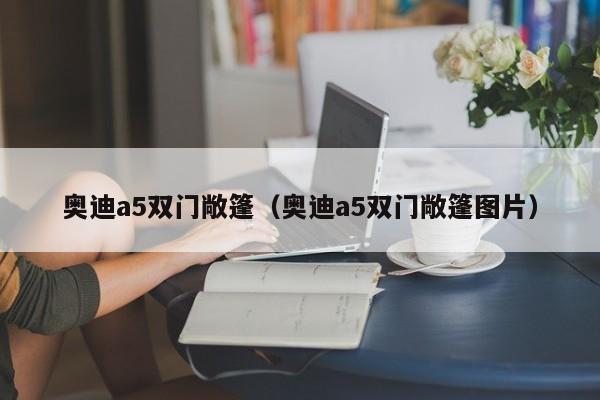 奥迪a5双门敞篷（奥迪a5双门敞篷图片）