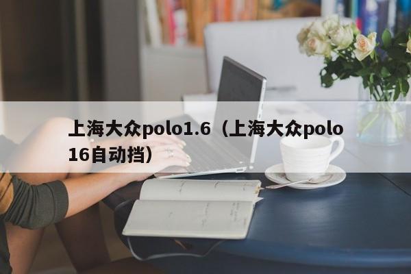 上海大众polo1.6（上海大众polo16自动挡）