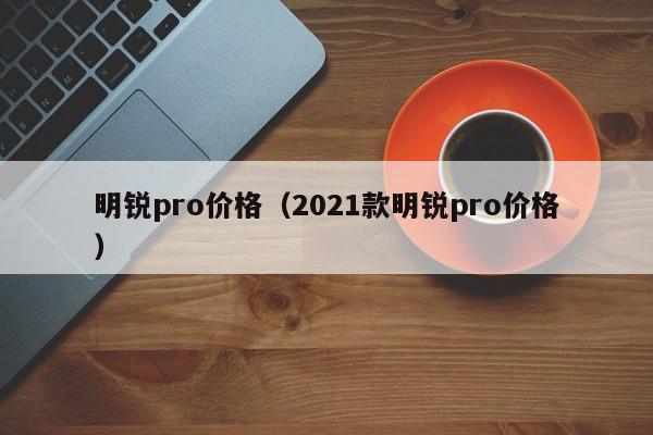 明锐pro价格（2021款明锐pro价格）