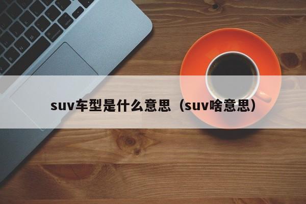 suv车型是什么意思（suv啥意思）