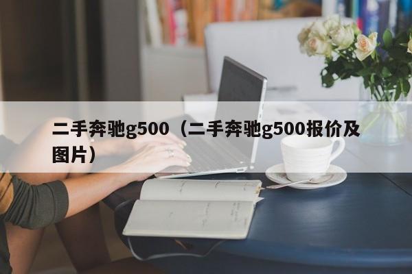 二手奔驰g500（二手奔驰g500报价及图片）