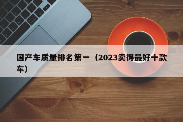 国产车质量排名第一（2023卖得最好十款车）