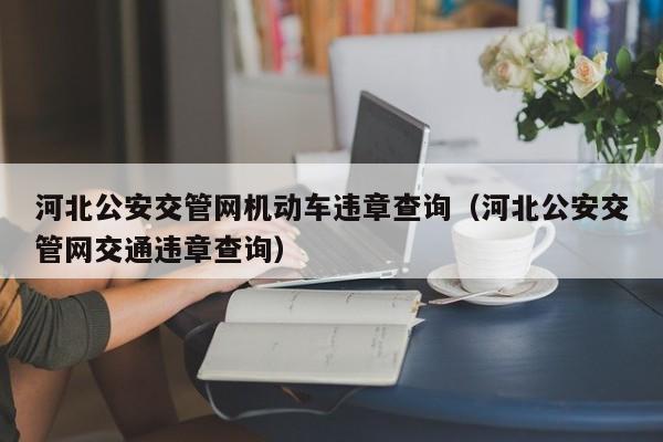 河北公安交管网机动车违章查询（河北公安交管网交通违章查询）