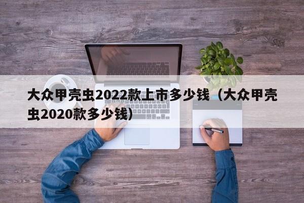 大众甲壳虫2022款上市多少钱（大众甲壳虫2020款多少钱）