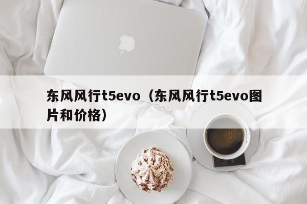 东风风行t5evo（东风风行t5evo图片和价格）