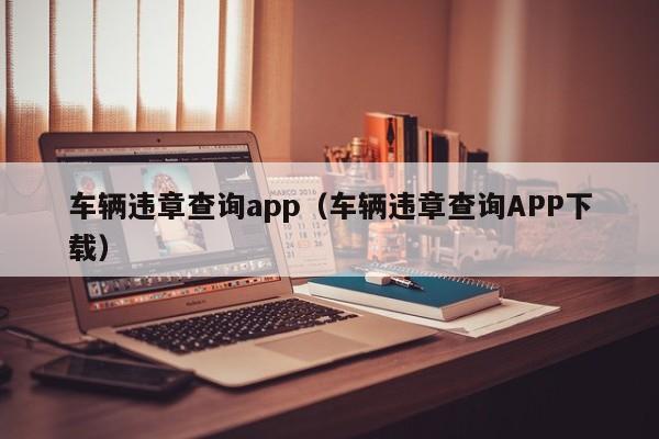 车辆违章查询app（车辆违章查询APP下载）