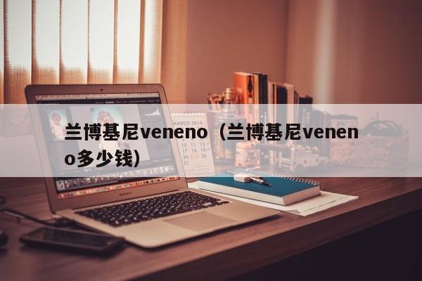 兰博基尼veneno（兰博基尼veneno多少钱）