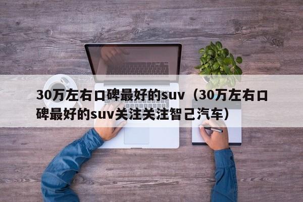 30万左右口碑最好的suv（30万左右口碑最好的suv关注关注智己汽车）