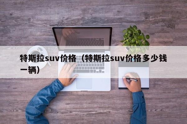 特斯拉suv价格（特斯拉suv价格多少钱一辆）